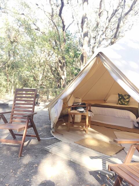 Glamping tent at topsail preserve state park in Florida 