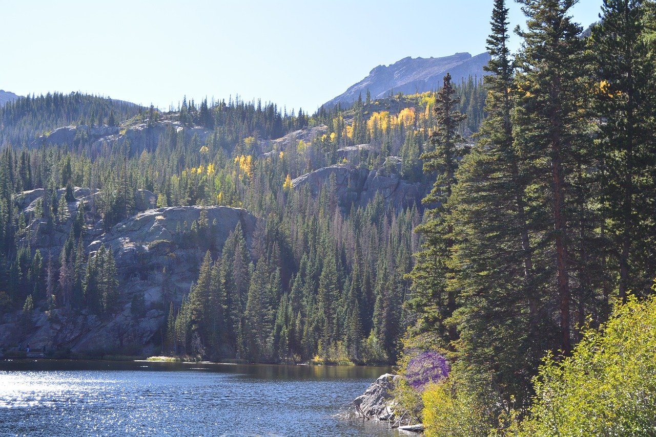 Top 10 Luxury Cabins in Colorado - Cabin Critic