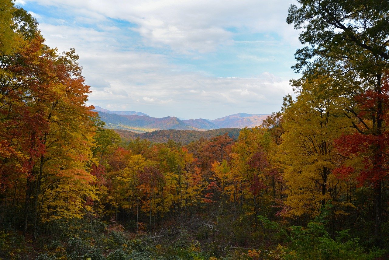 10 Top Pigeon Forge Luxury Cabins (With Awesome Amenities) - Cabin Critic