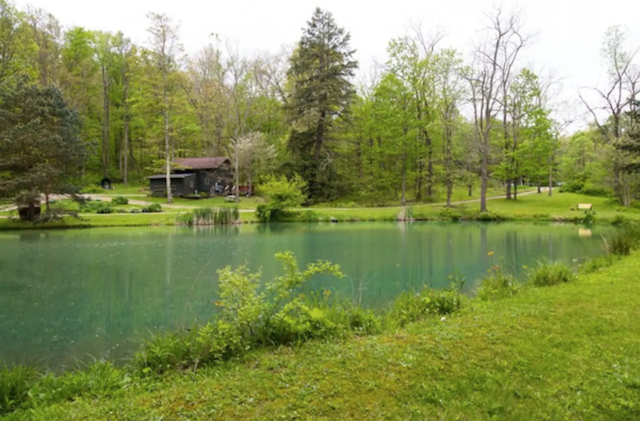 Lakeside cabin near Mohican State Park