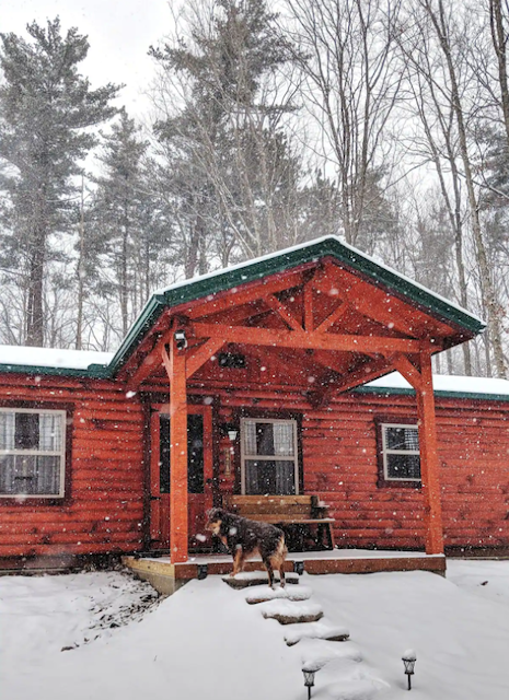Cabin exterior while snowing with dog outside 