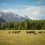 Top 10 Best Dude Ranches in Jackson Hole