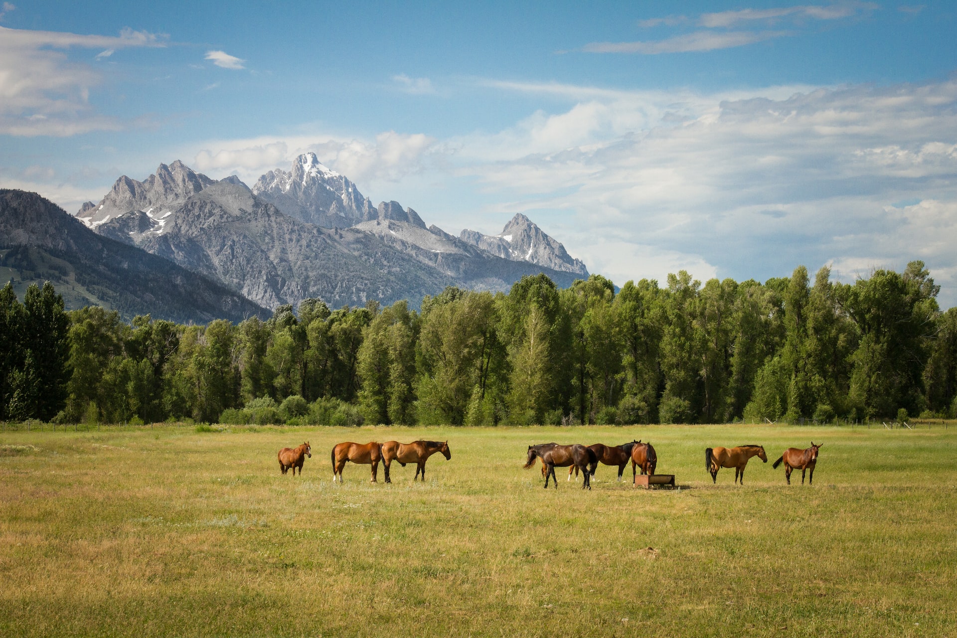 Top 10 Luxury Dude Ranches in Montana - Cabin Critic